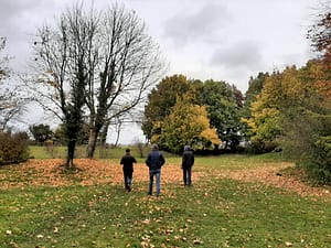Visiting the Cotswolds in september - an autumn picture of trees and fields